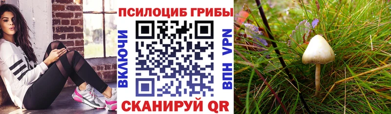 Купить закладки  Новосокольники  Галлюциногенные грибы мухоморы 