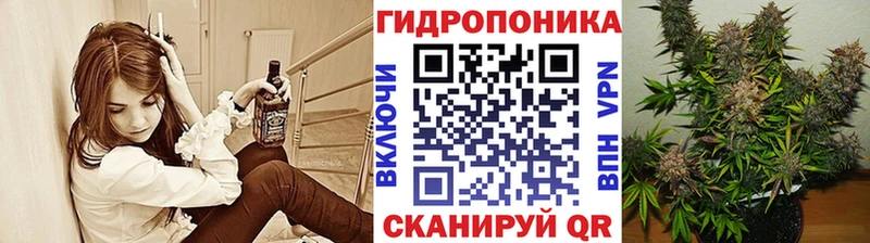 Конопля LSD WEED Купить Новосокольники